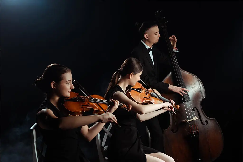 Professional musicians playing on double bass and violins