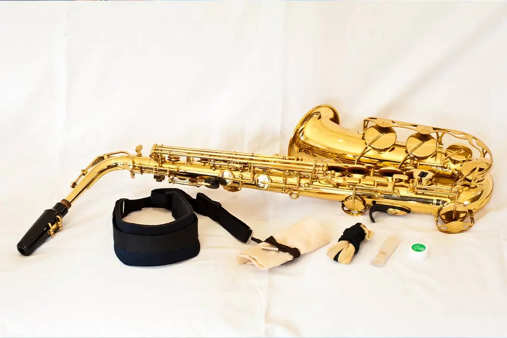 Saxophone with neck strap, mouthpiece and reed on white fabric